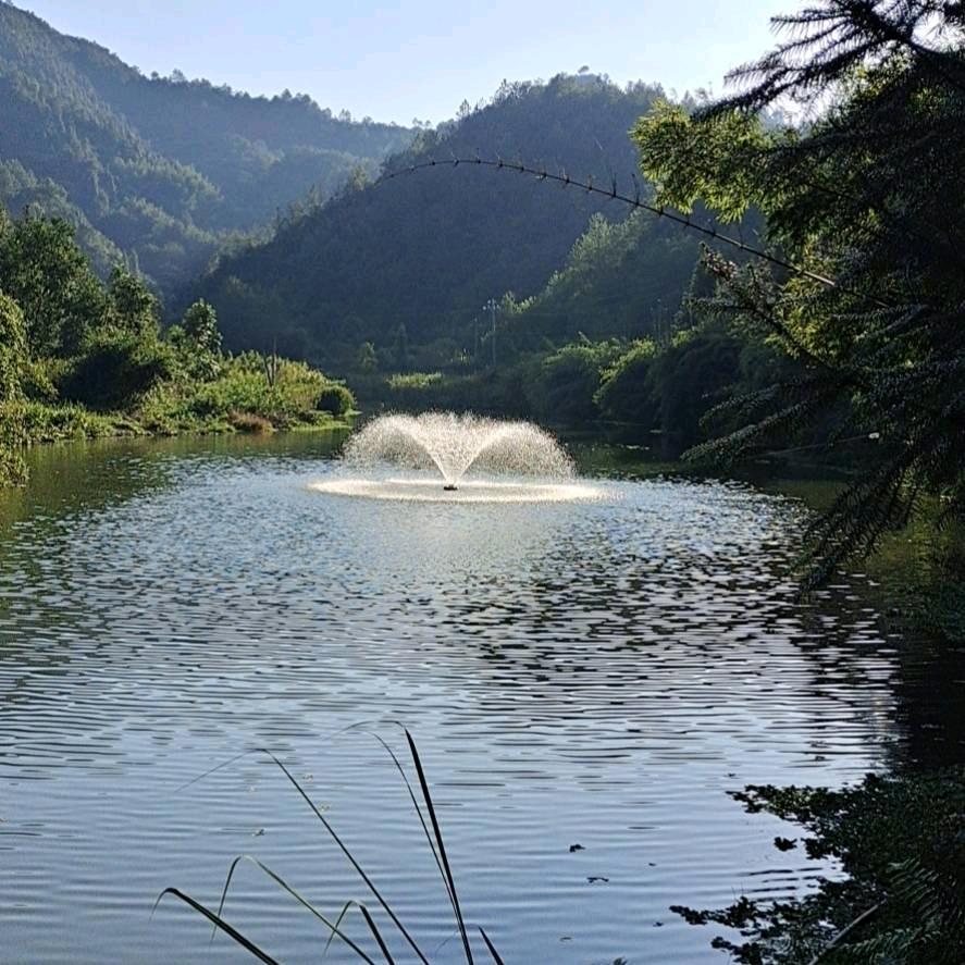 贛南水产养殖（廖姐）