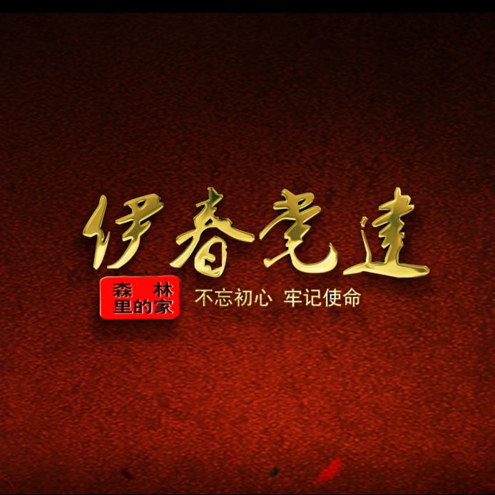 伊春党建