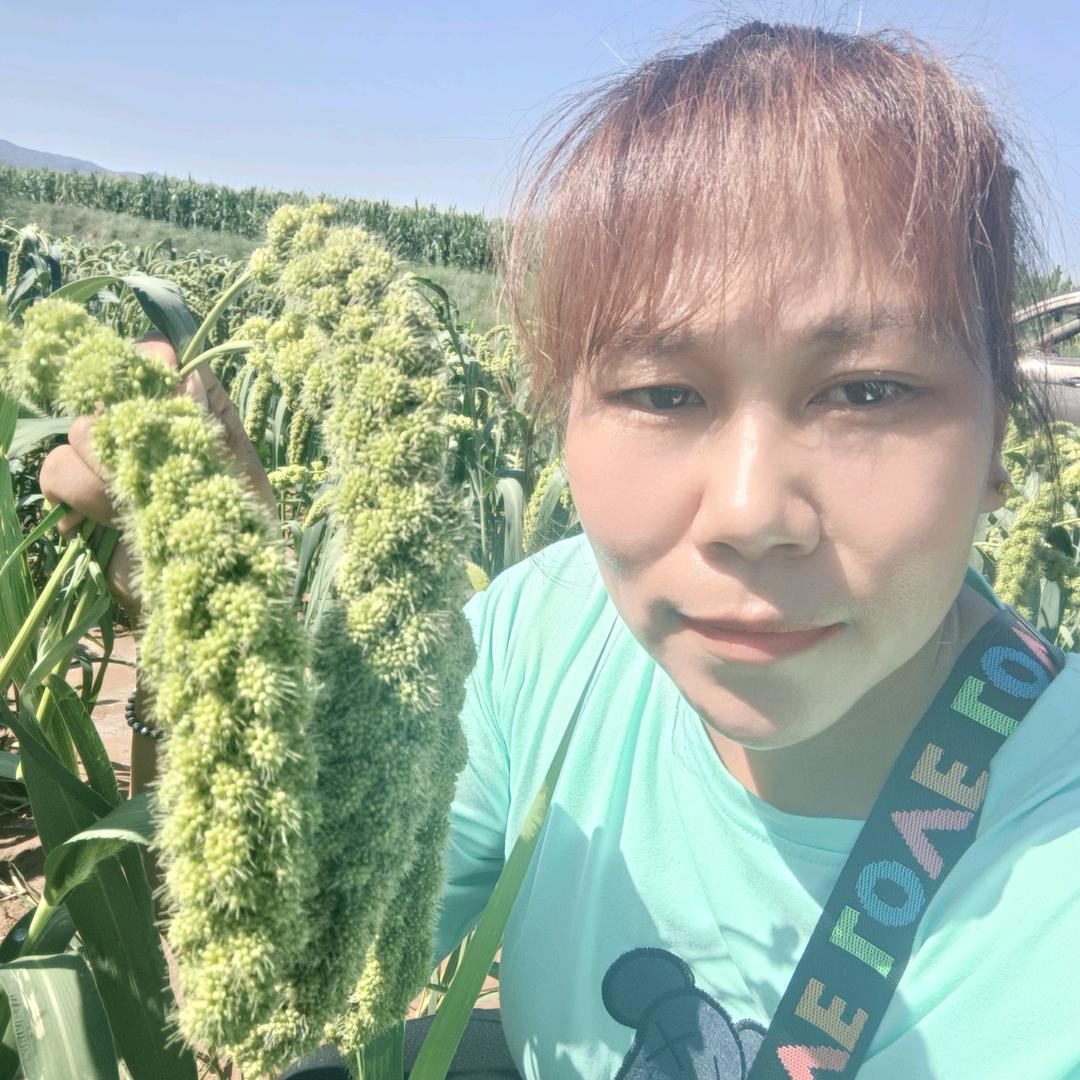 盘上金玲卖草鸡蛋:新小米:红薯粉条