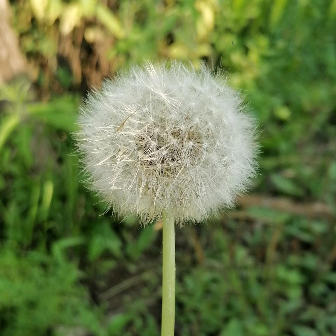 55555
