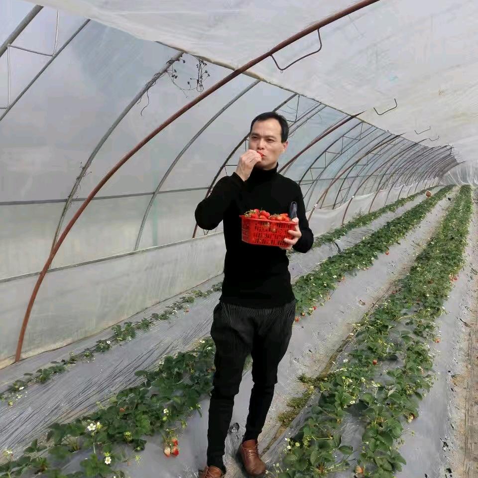 忆岸