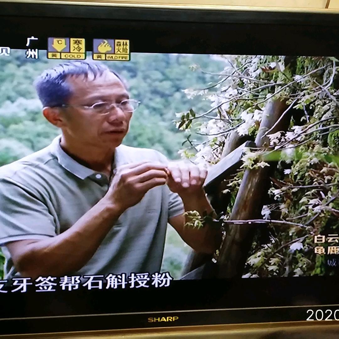 巴孖园农庄朱叔
