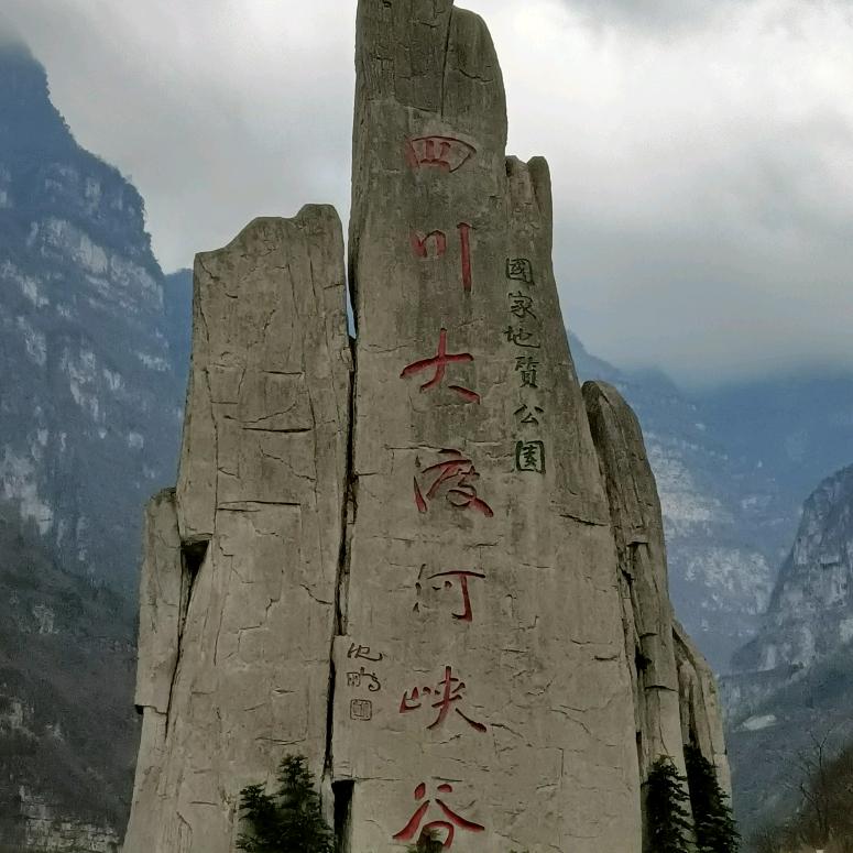 来自专业制罐
