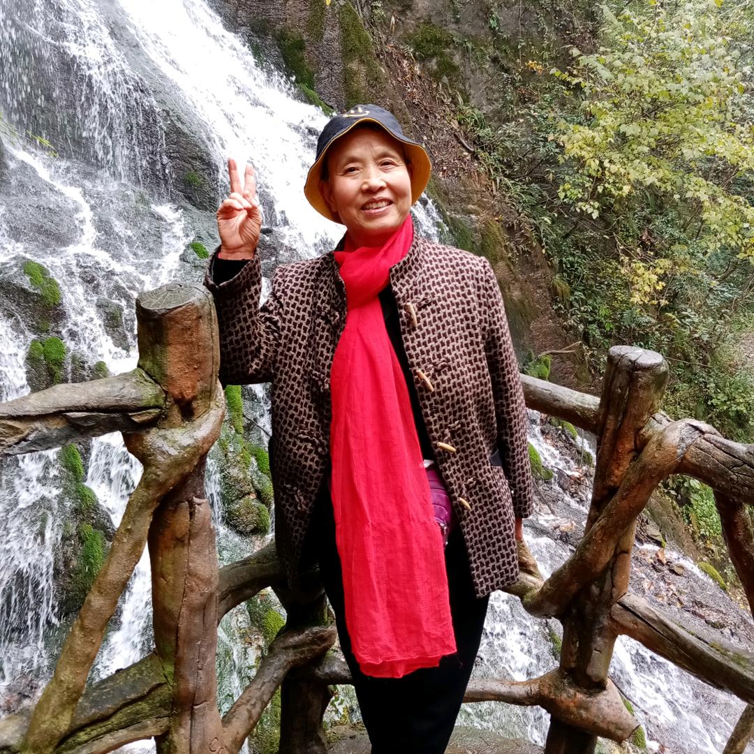 老杨阿姨