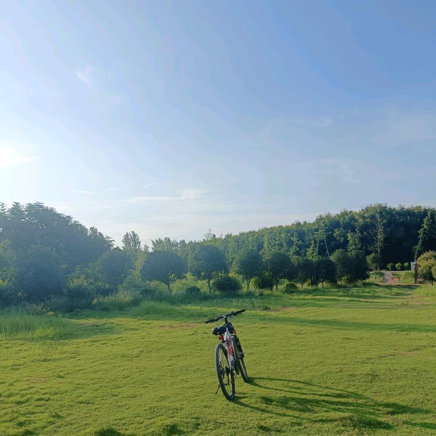 每天都有一个好心情