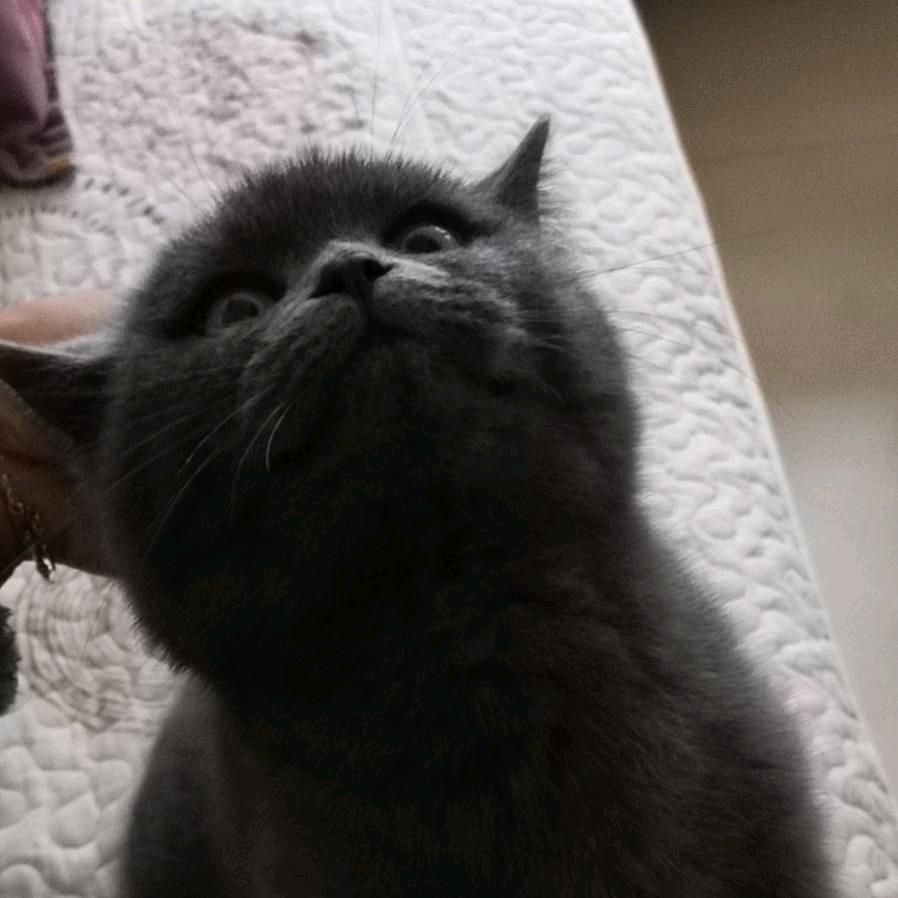 走大胖诶(´-ω-`)