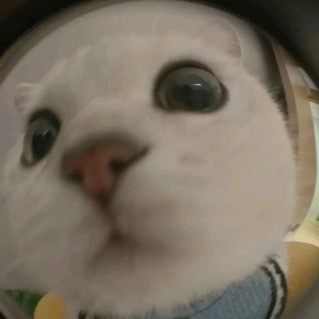 不垫底辣妹