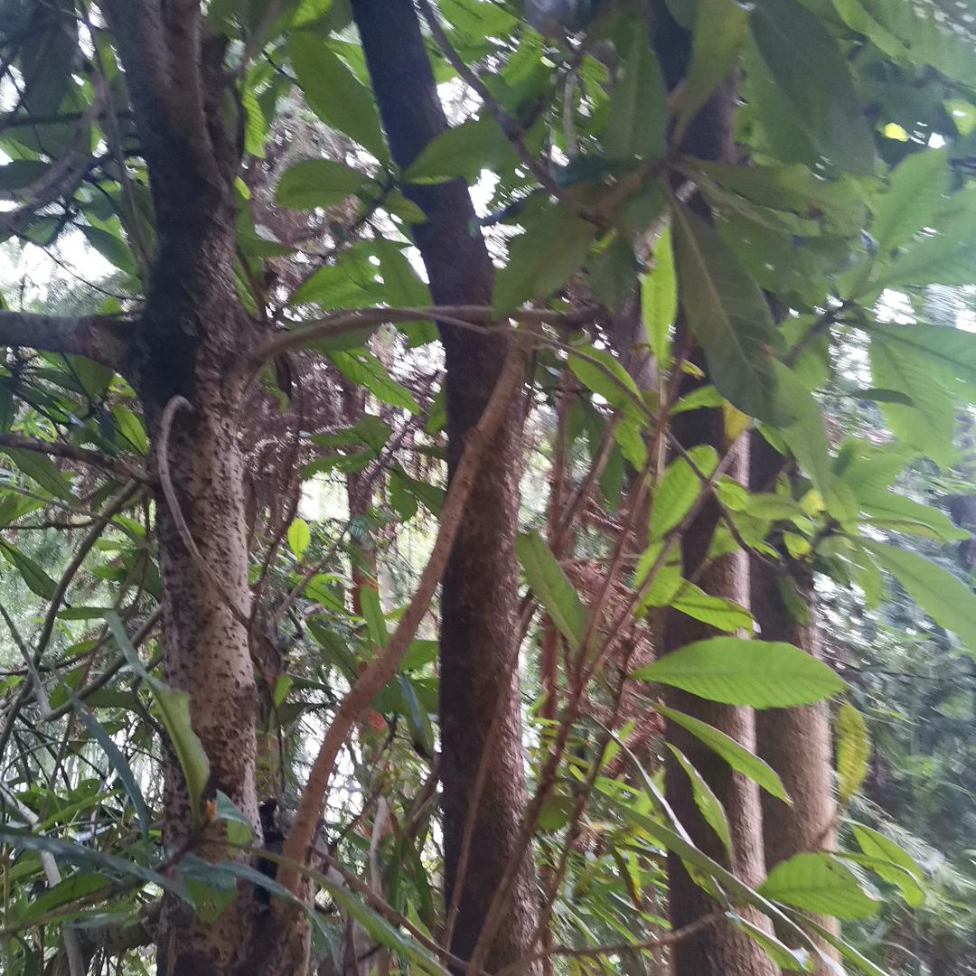 可爱的小涵涵