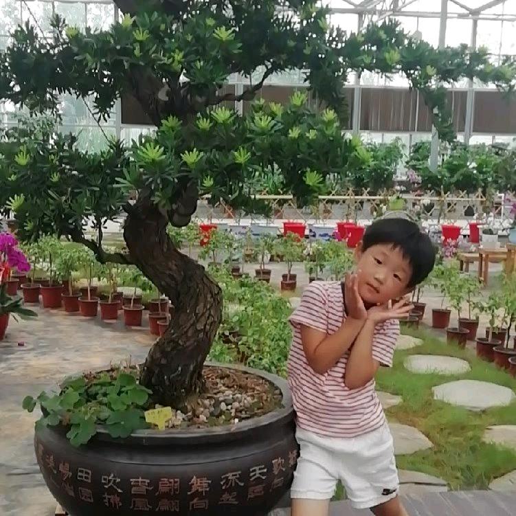 领着蚂蚁去遛弯