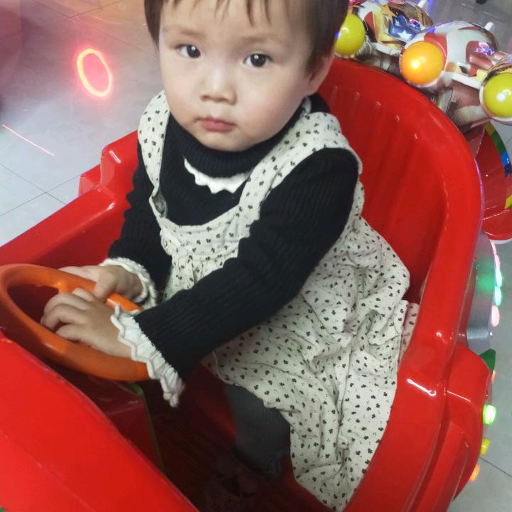 🌻武家大小姐