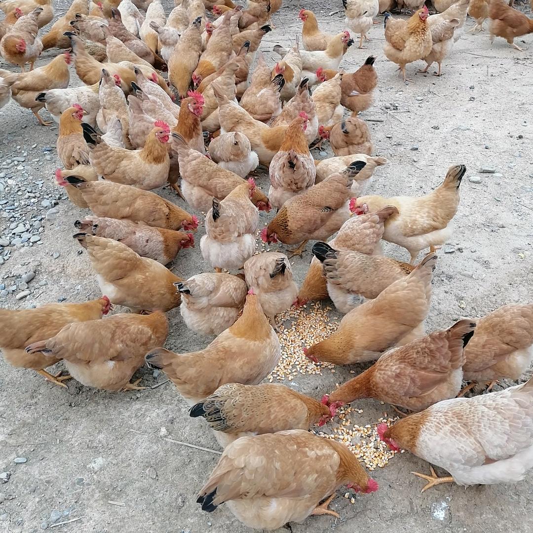 绿生源农场