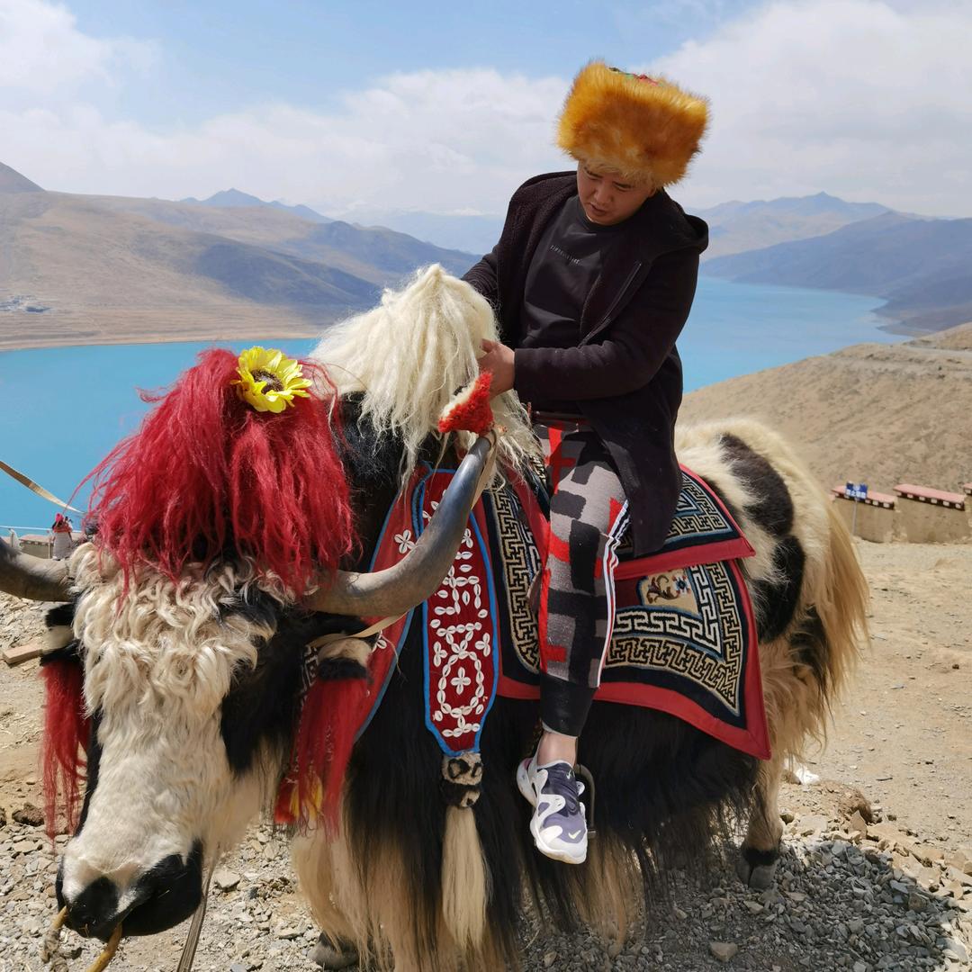 LJL缘起金银专用号