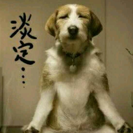 参禅打坐修地球