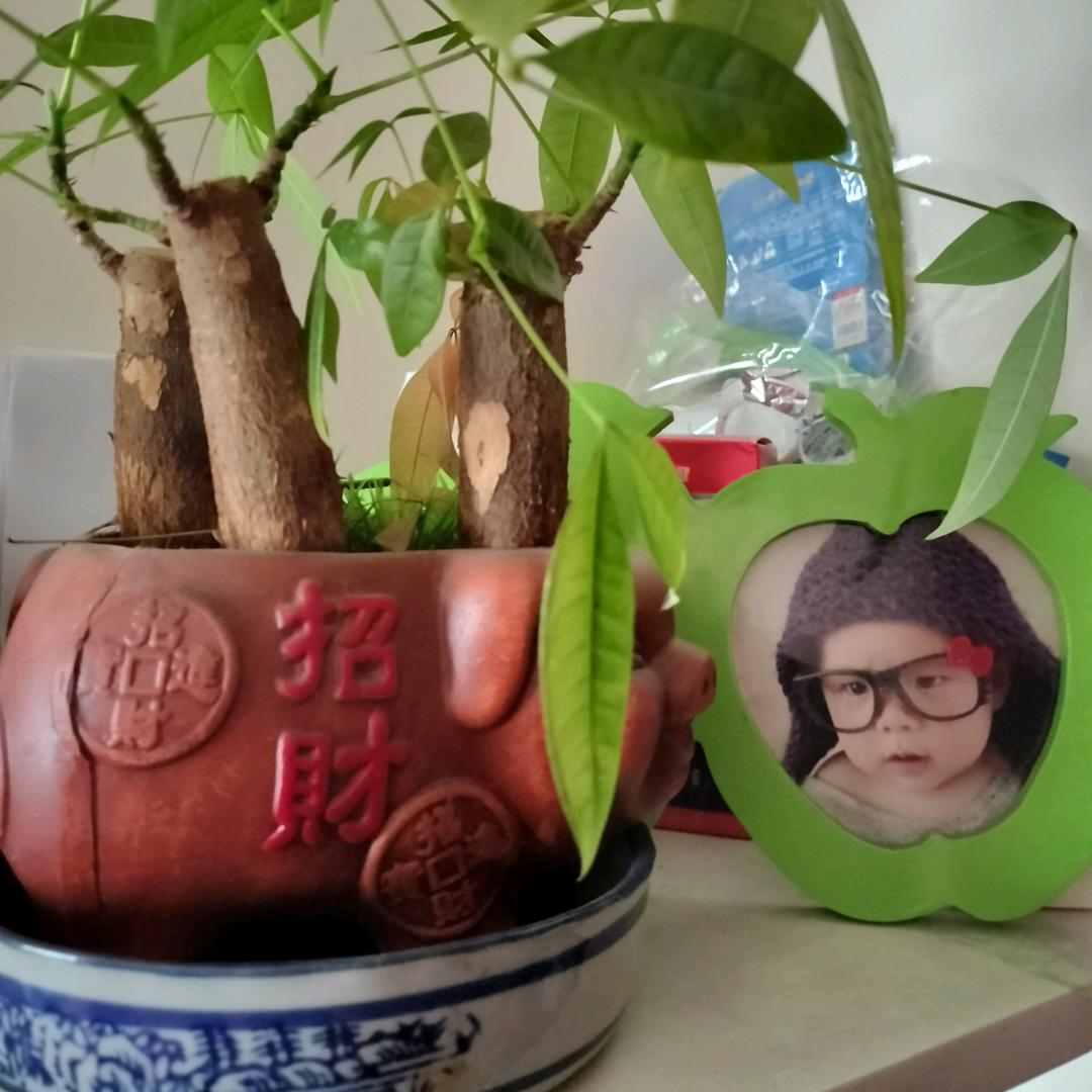记忆不在回来