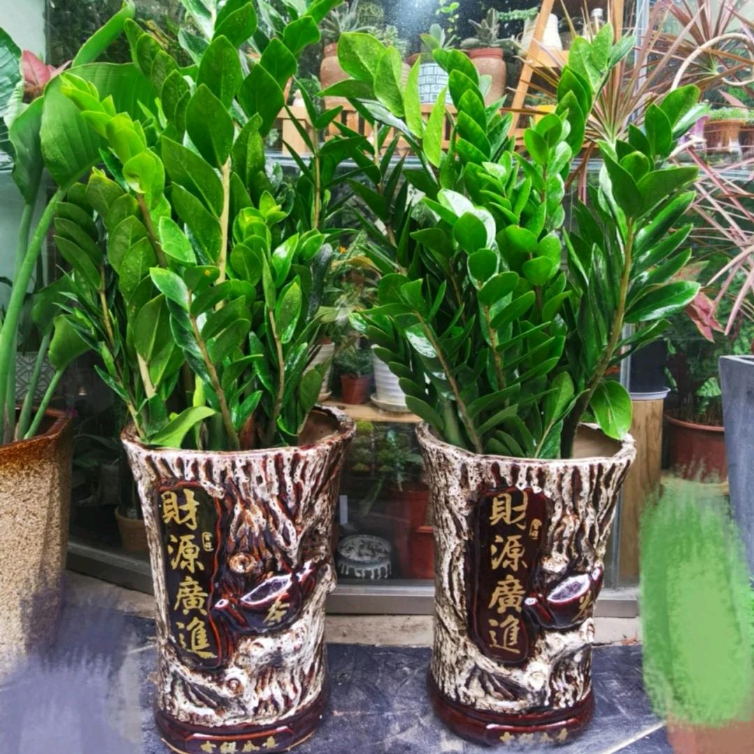 黄府堂