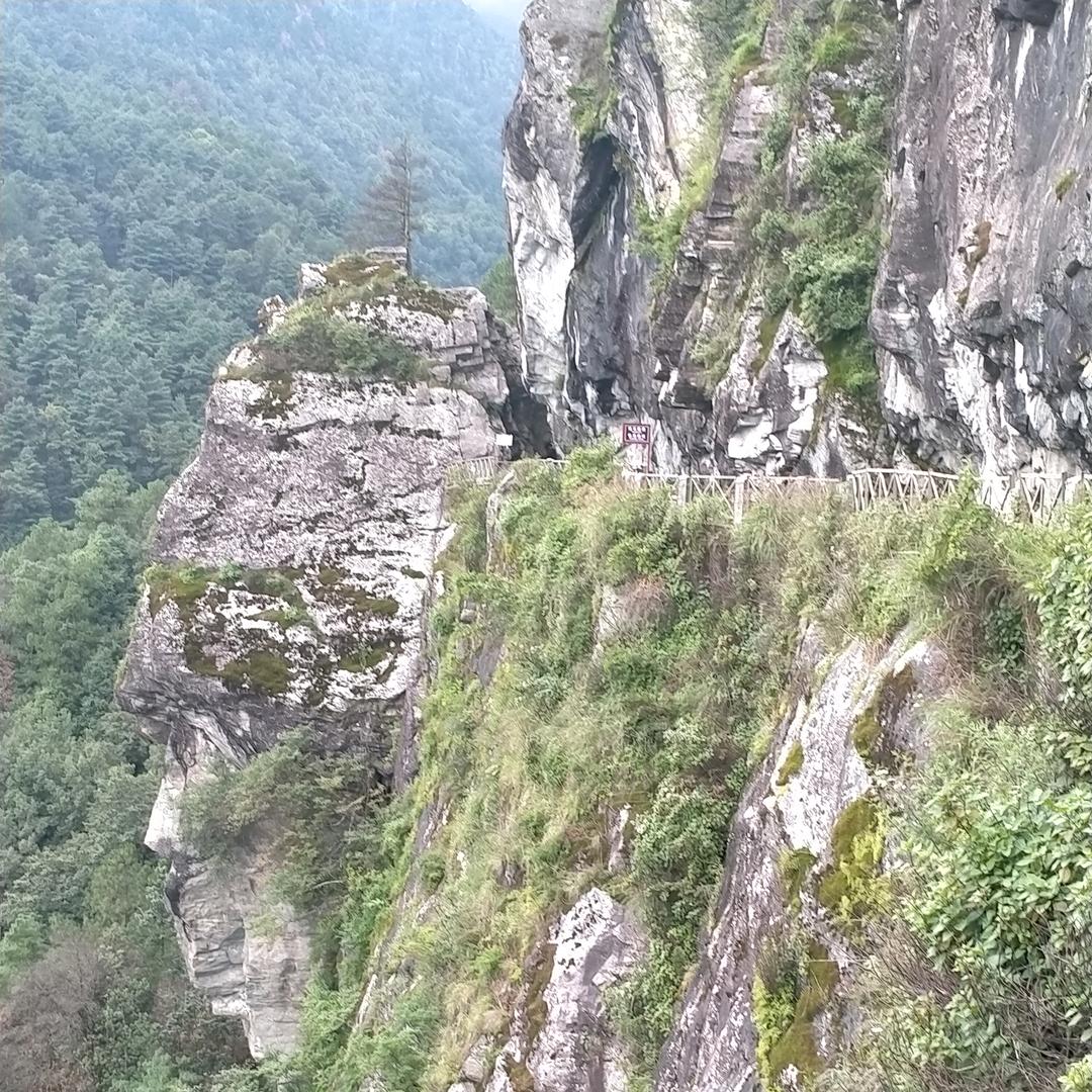 ( "･ω･ﾞ)无精打采