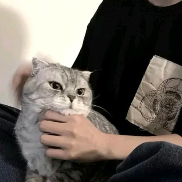 爱吃香菜い