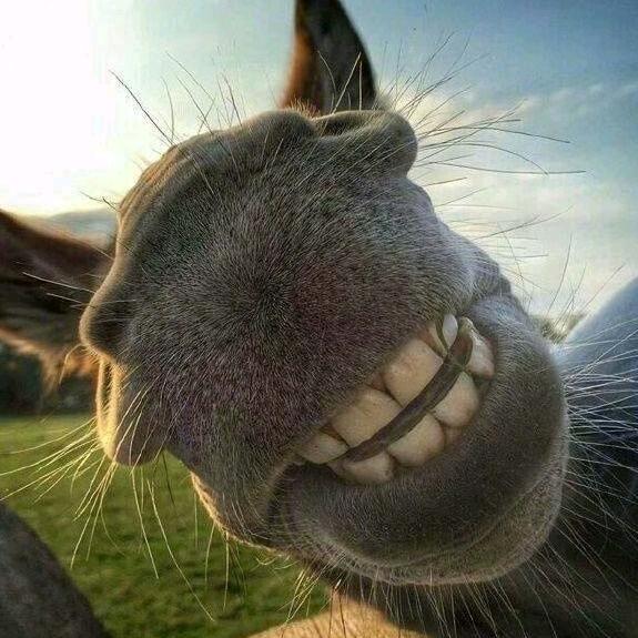 风吹裤烂屁凉凉