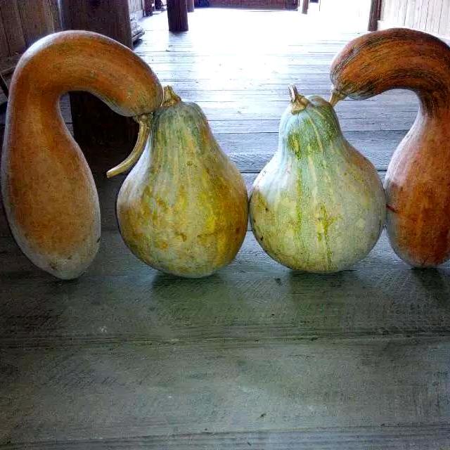 跟着感觉走