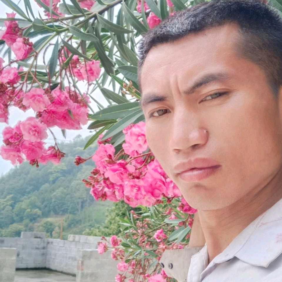 梦想未来