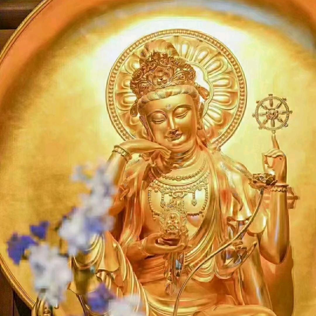 净安 戴门府