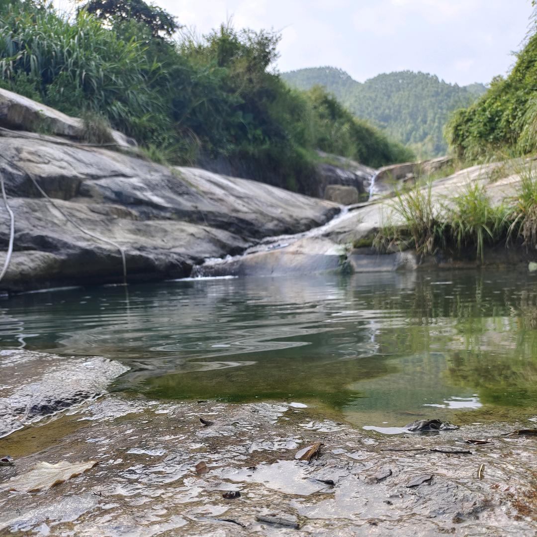 余昆霖
