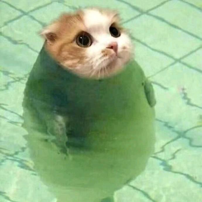 yy.