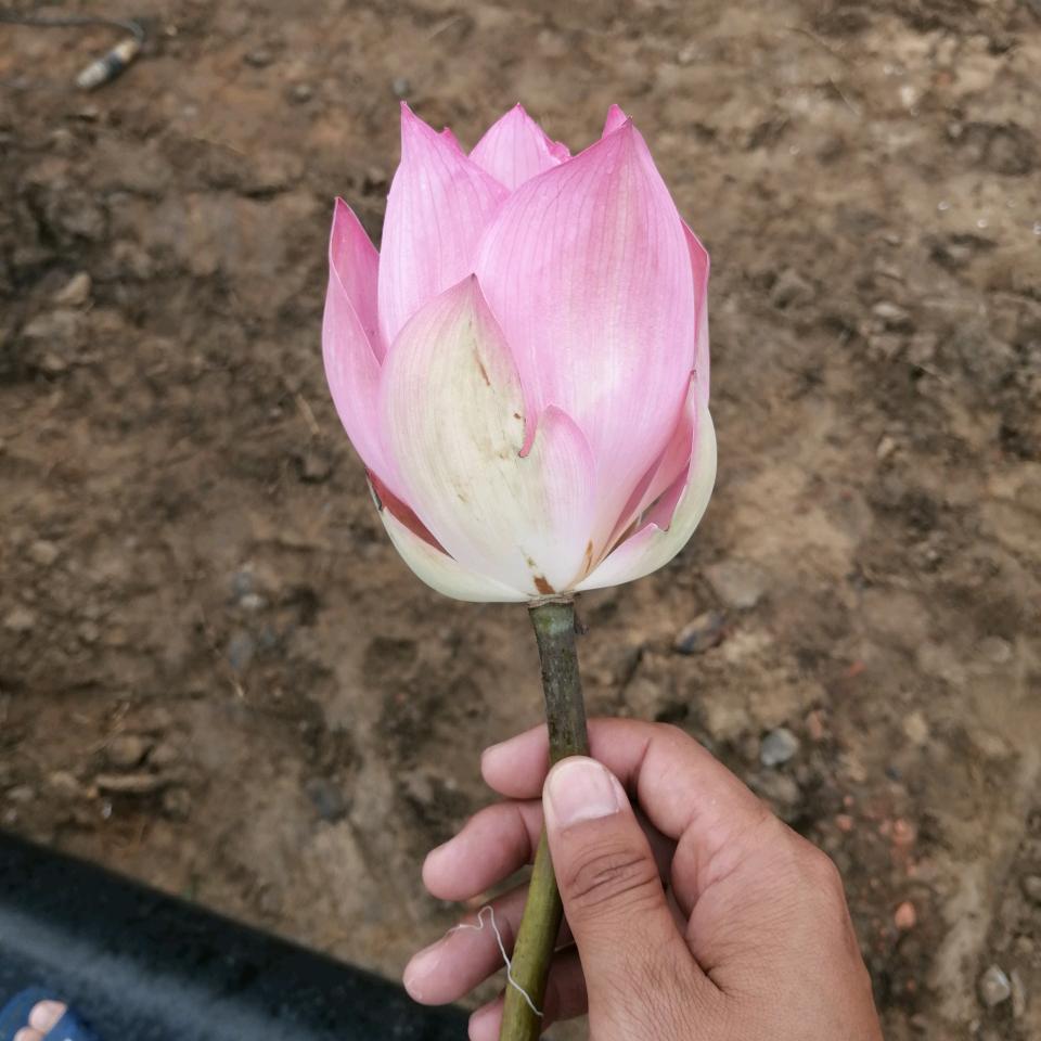美好的回忆~…