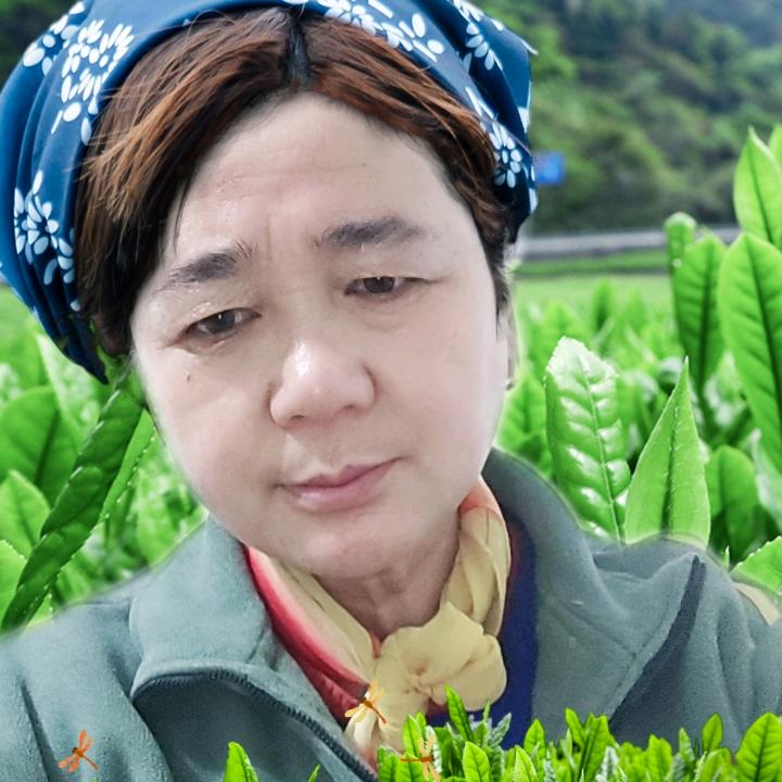 利火姐（首播下午5点20分开播