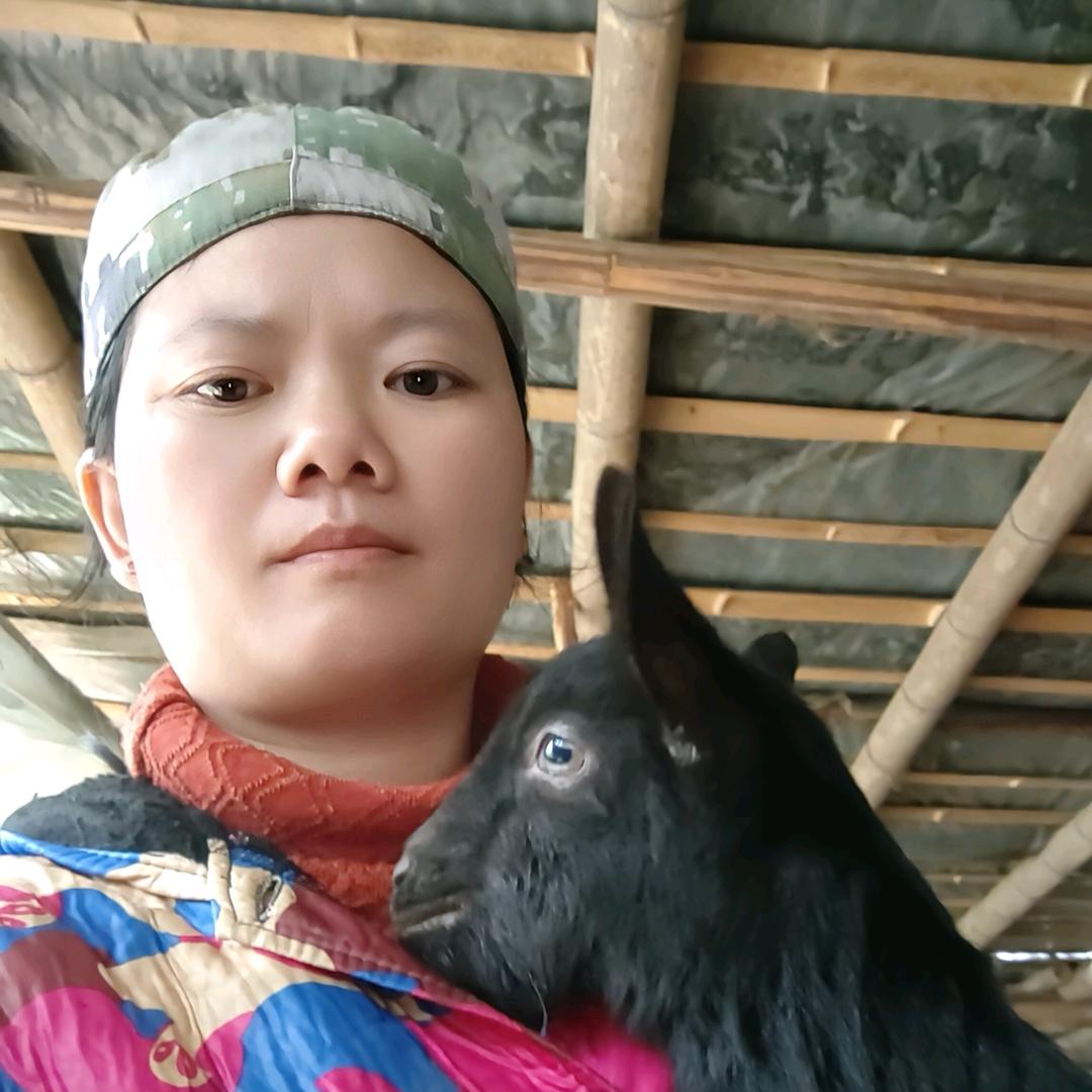 贵州妹在江西信丰养羊🐏🐏🐏