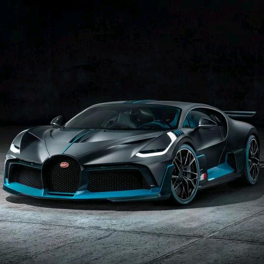 杨花漫舞   平野驰风