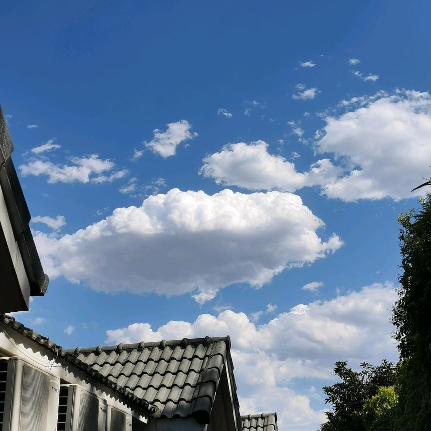 月亮染亮了天空（拒连赞）