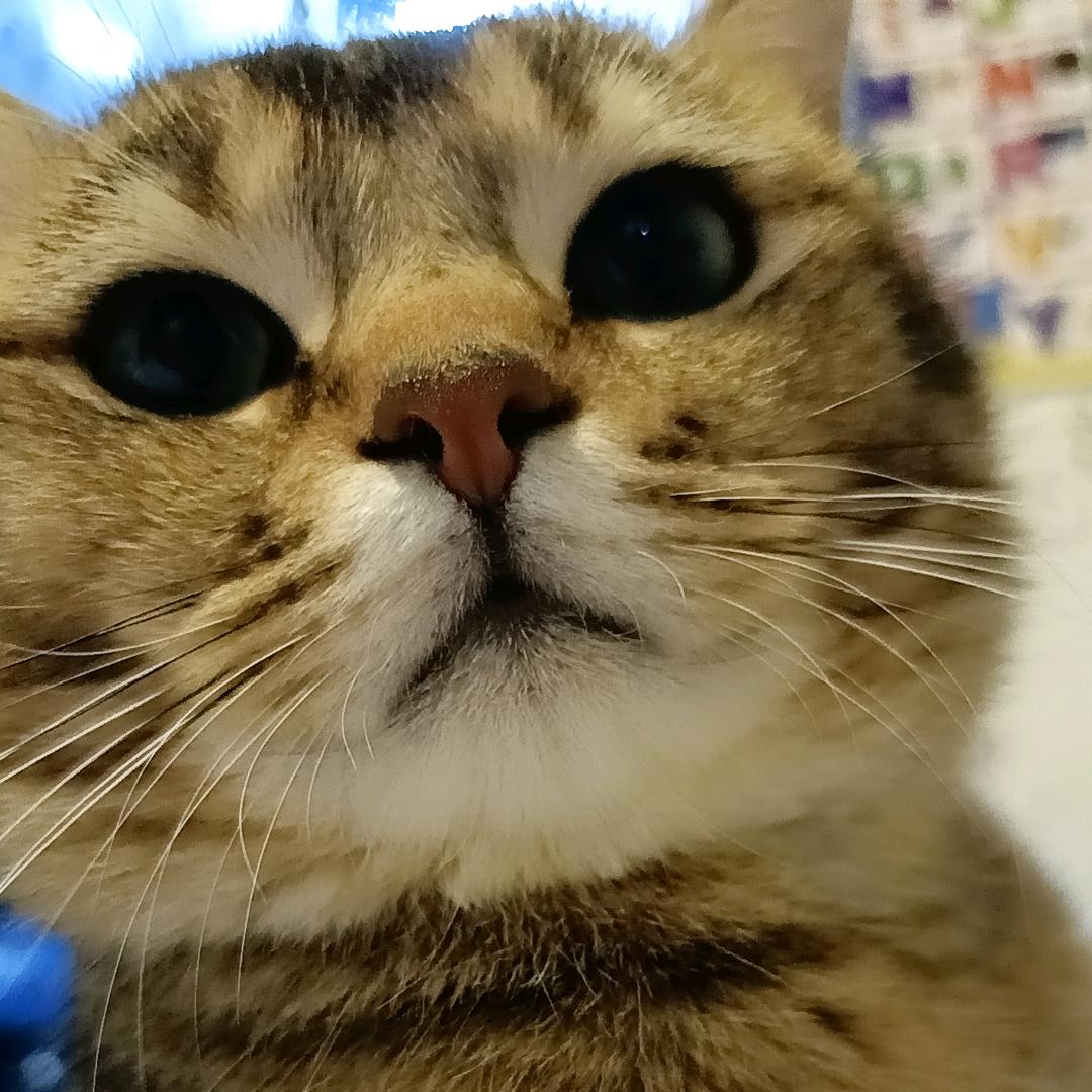 蓉儿