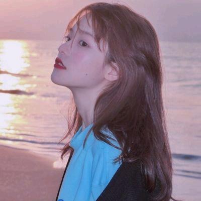 楠猫