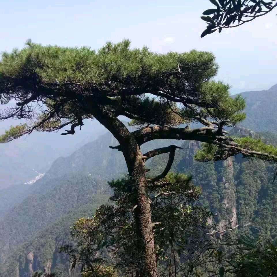善恶情仇