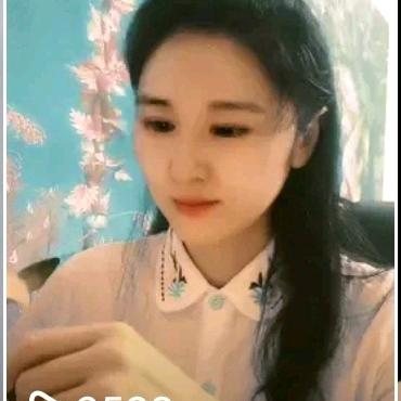 含羞草