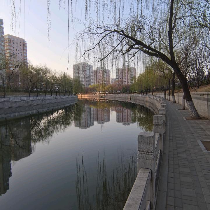 用户64066594