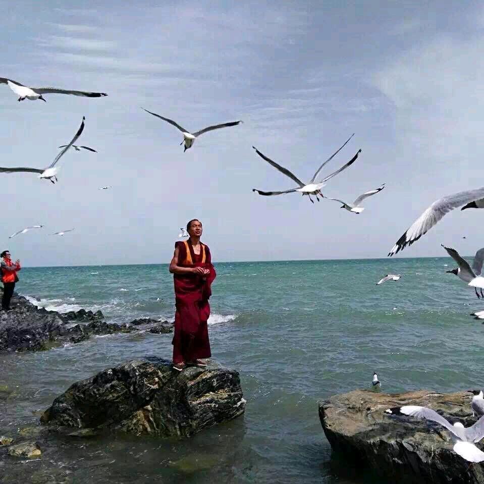 虎哥
