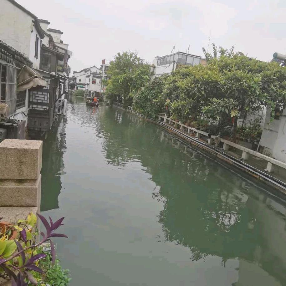 😂᭄🤙🤙🤙大太阳