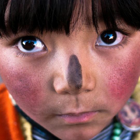 花开富贵，幸福一生。