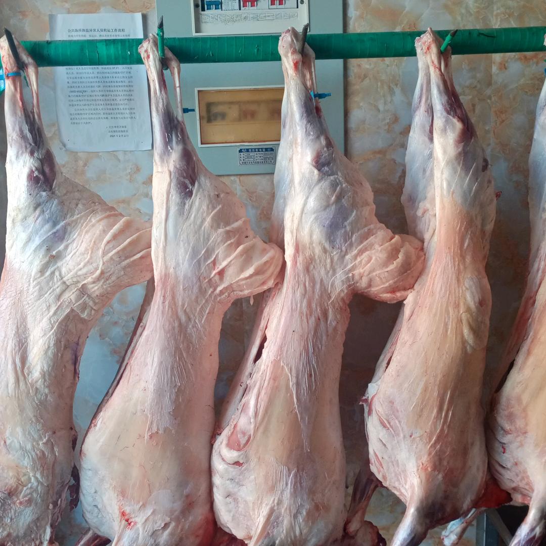 巴里坤电厂牛肉店