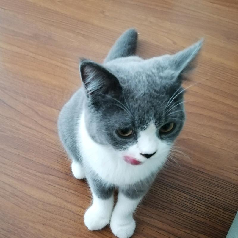 默