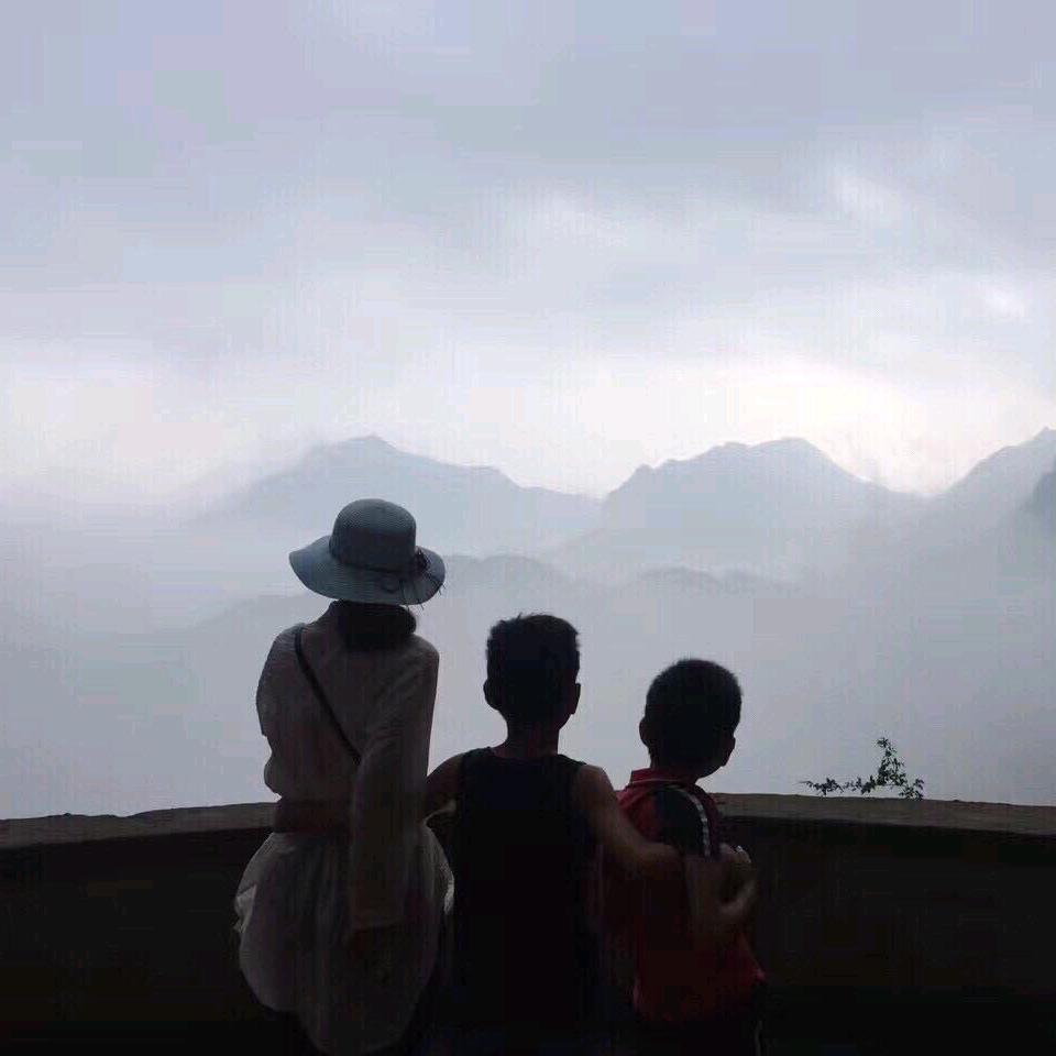 特利特轴承   轴工轴承