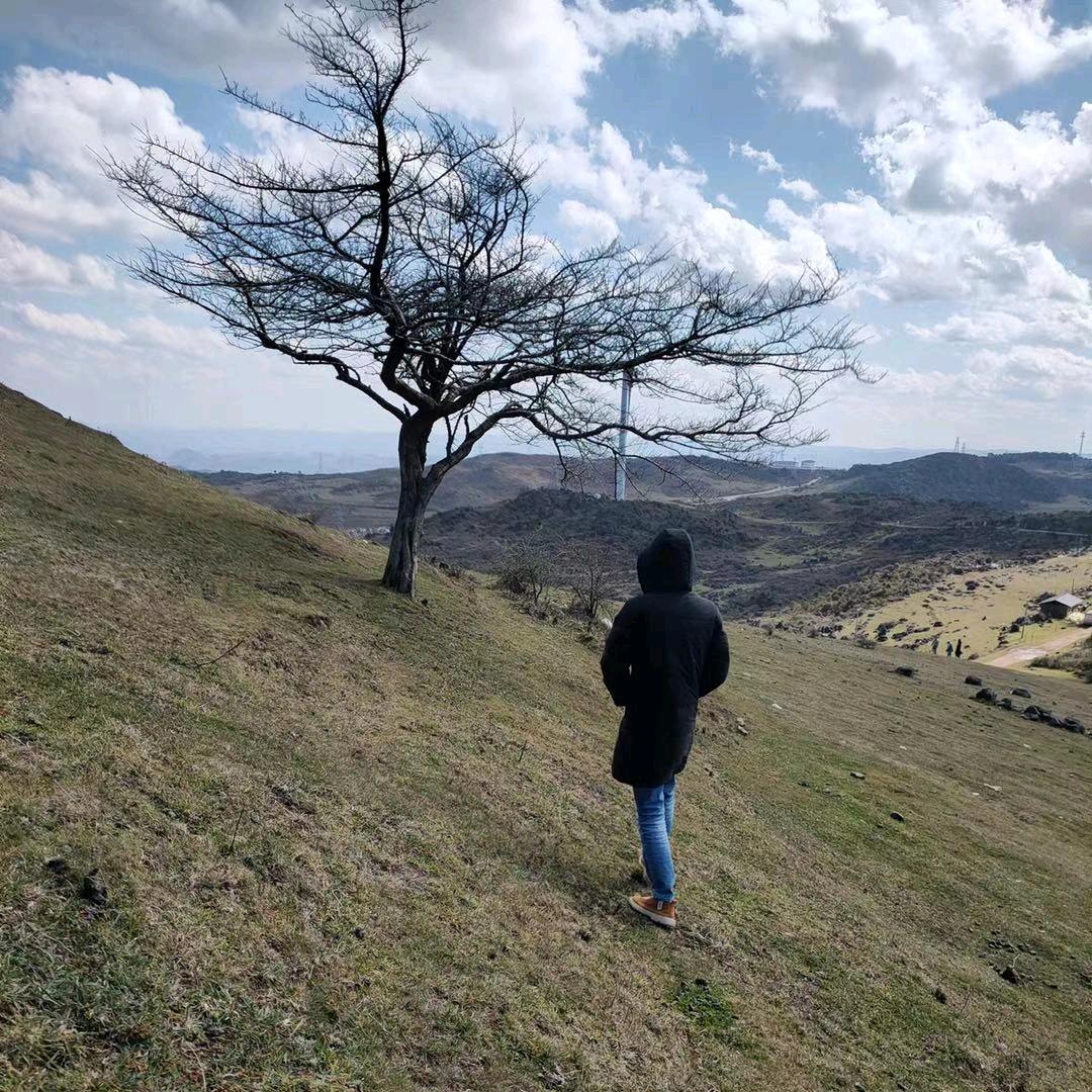 🌈🌈🌈从〇开始