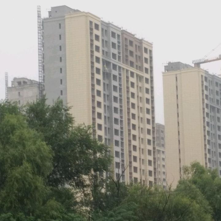胖哥