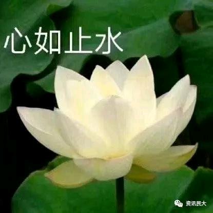 慧