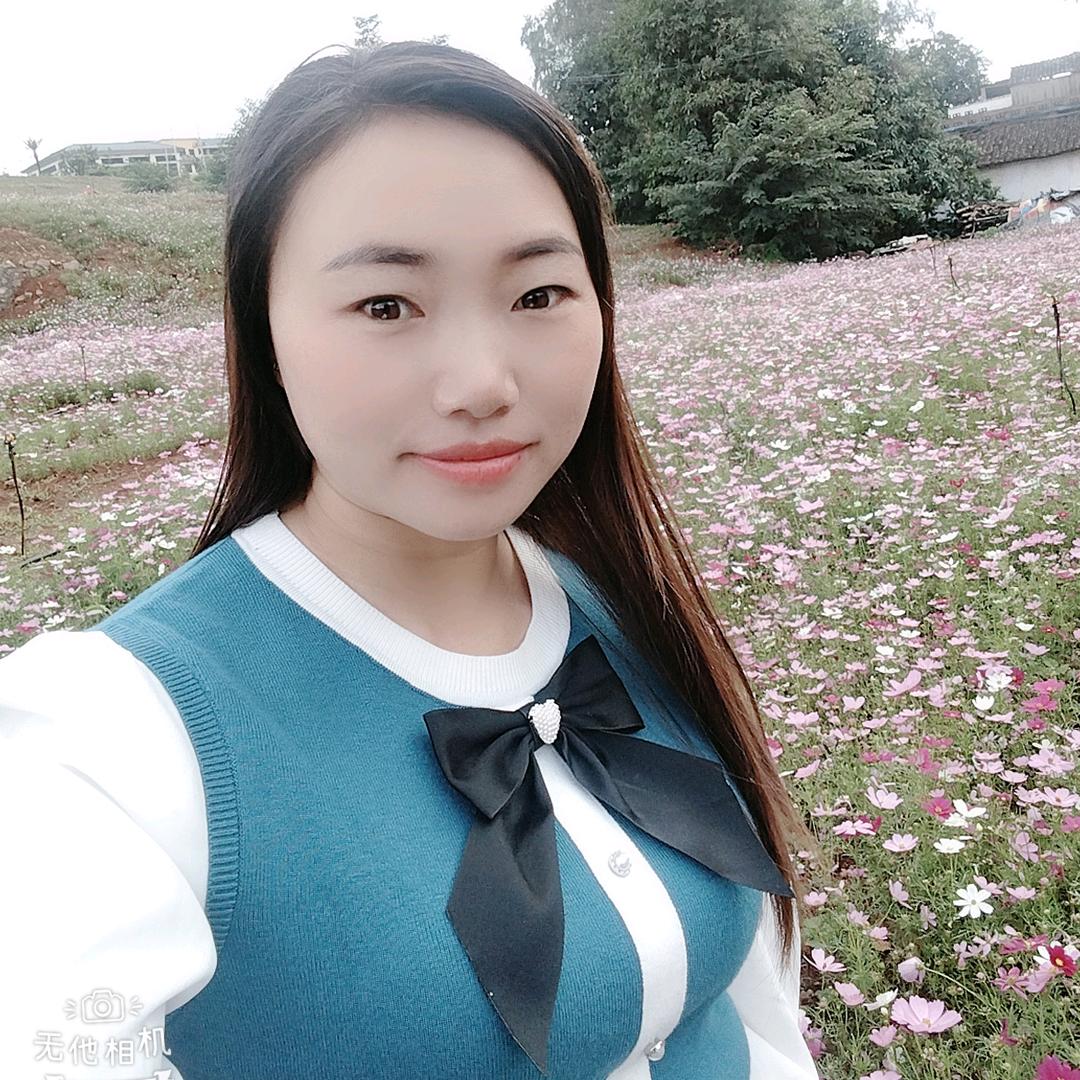 云南九妹