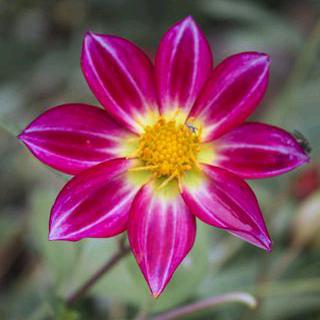 里外和睦自由牟姐