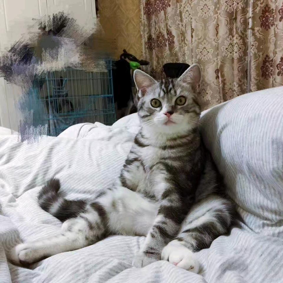用户3756158761385