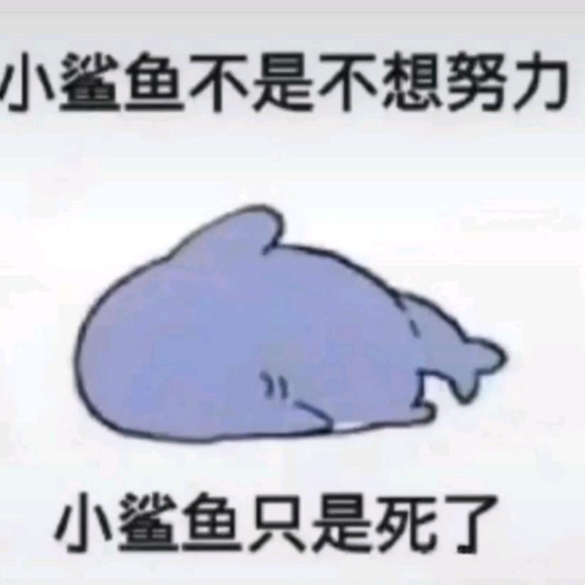 良月十七